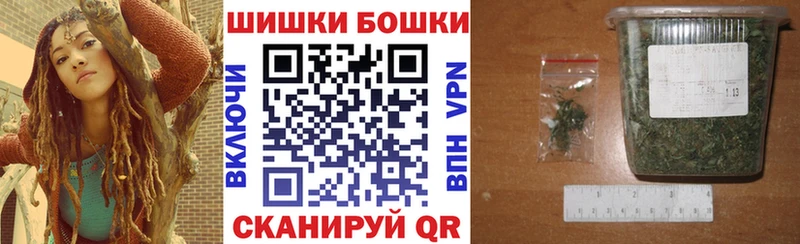 МЕФ Западная Двина