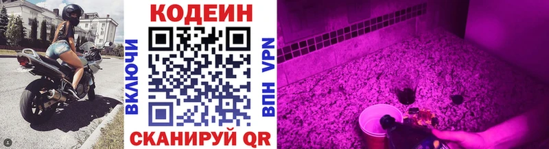 купить наркотики сайты  Западная Двина  Codein напиток Lean (лин) 