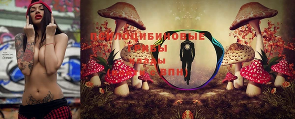 PSILOCYBIN Верхний Тагил
