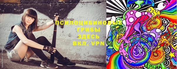 PSILOCYBIN Верхний Тагил