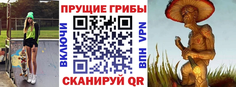 shop какой сайт  кракен онион  Западная Двина  Псилоцибиновые грибы прущие грибы 